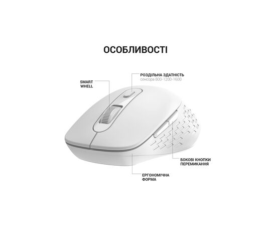 Мышка OfficePro M230W Silent Click Wireless/Bluetooth White (M230W), изображение 6 Мышка OfficePro M230W Silent Click Wireless/Bluetooth White (M230W), изображение 6