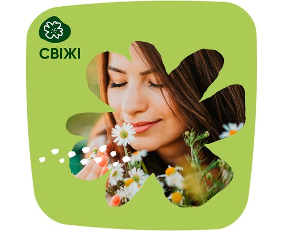 Ежедневные прокладки Naturella Camomile Normal 74 шт. (8006540100806), изображение 6 Ежедневные прокладки Naturella Camomile Normal 74 шт. (8006540100806), изображение 6