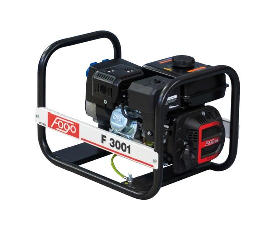Генератор Fogo F3001, изображение 2 Генератор Fogo F3001, изображение 2