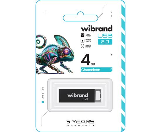USB флеш накопитель Wibrand 4GB Chameleon Black USB 2.0 (WI2.0/CH4U6B), изображение 2 USB флеш накопитель Wibrand 4GB Chameleon Black USB 2.0 (WI2.0/CH4U6B), изображение 2
