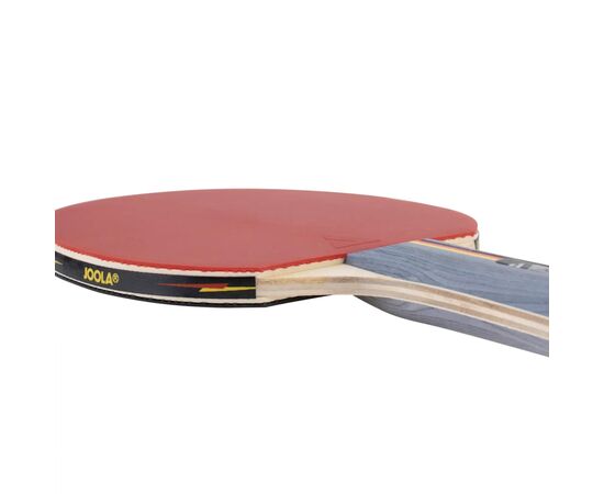 Комплект для настільного тенісу Joola Team School 4 Bats 8 Balls (54825) (930798), зображення 5 Комплект для настільного тенісу Joola Team School 4 Bats 8 Balls (54825) (930798), зображення 5