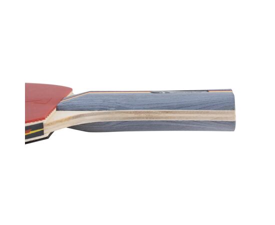 Комплект для настільного тенісу Joola Team School 4 Bats 8 Balls (54825) (930798), зображення 6 Комплект для настільного тенісу Joola Team School 4 Bats 8 Balls (54825) (930798), зображення 6