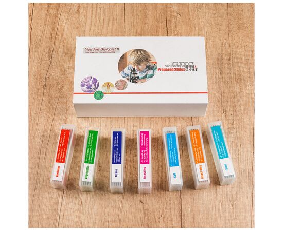 Набор микропрепаратов Sigeta Biologist Set (35 шт) (65126), изображение 4 Набор микропрепаратов Sigeta Biologist Set (35 шт) (65126), изображение 4