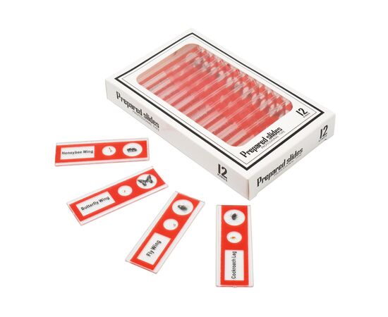 Набор микропрепаратов Sigeta Entrance Будова комах (12 шт) (65122), изображение 2 Набор микропрепаратов Sigeta Entrance Будова комах (12 шт) (65122), изображение 2