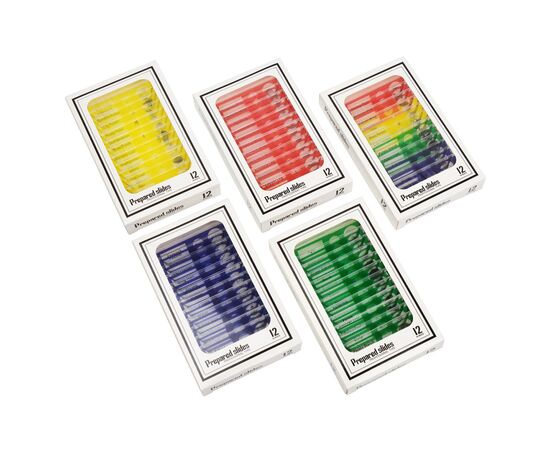 Набор микропрепаратов Sigeta Entrance Будова комах (12 шт) (65122), изображение 5 Набор микропрепаратов Sigeta Entrance Будова комах (12 шт) (65122), изображение 5