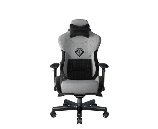 Кресло игровое Anda Seat T-Pro 2 Size XL Grey/Black (AD12XLLA-01-GB-F)