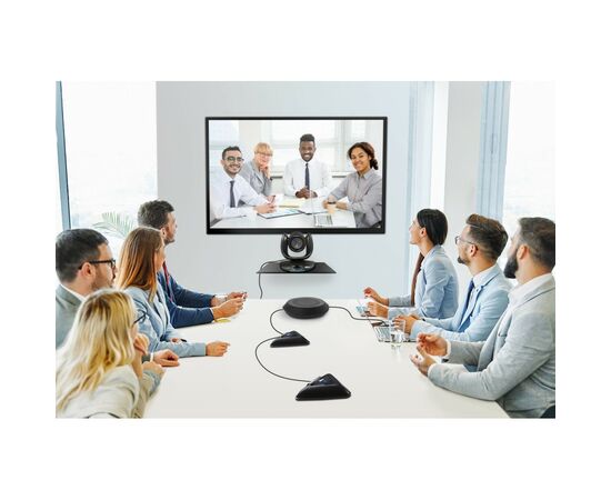Система відеоконференції AVer Informаtion Inc. VC550 (61U0210000AC), зображення 2 Система відеоконференції AVer Informаtion Inc. VC550 (61U0210000AC), зображення 2