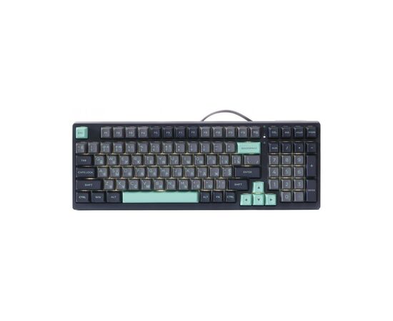 Клавиатура A4Tech FS300 FS Switches USB Panda Rock Climbin (4711422003086)
