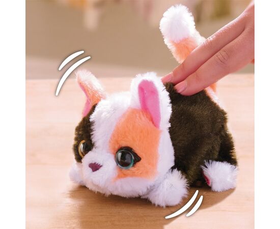 Интерактивная игрушка Furreal серии My Mini's - Маленький котенок (28062), изображение 5 Интерактивная игрушка Furreal серии My Mini's - Маленький котенок (28062), изображение 5