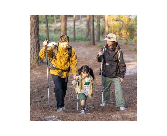 Треккинговые палки Naturehike 1шт ST 01 6061 AL NH17D001-Z золотиста (6975641885658), изображение 4 Треккинговые палки Naturehike 1шт ST 01 6061 AL NH17D001-Z золотиста (6975641885658), изображение 4