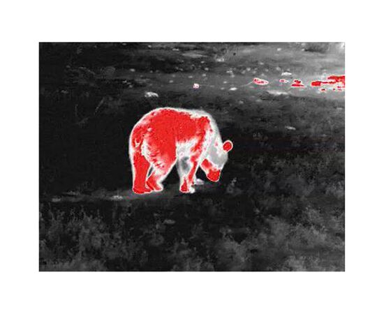 Монокуляр Guide тепловізійний TD431 LRF 2.6-10.4x35 384x28812m. 1800 м з далекоміром 600 м (TD431LRF), изображение 5 Монокуляр Guide тепловізійний TD431 LRF 2.6-10.4x35 384x28812m. 1800 м з далекоміром 600 м (TD431LRF), изображение 5