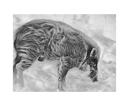 Монокуляр Guide тепловізійний TD431 LRF 2.6-10.4x35 384x28812m. 1800 м з далекоміром 600 м (TD431LRF), изображение 6 Монокуляр Guide тепловізійний TD431 LRF 2.6-10.4x35 384x28812m. 1800 м з далекоміром 600 м (TD431LRF), изображение 6