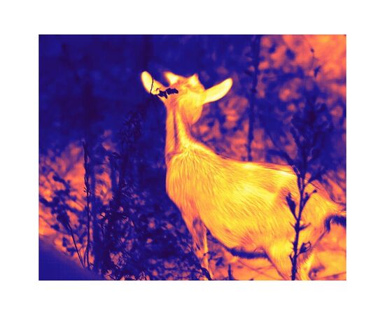 Монокуляр Guide тепловізійний TD431 LRF 2.6-10.4x35 384x28812m. 1800 м з далекоміром 600 м (TD431LRF), изображение 7 Монокуляр Guide тепловізійний TD431 LRF 2.6-10.4x35 384x28812m. 1800 м з далекоміром 600 м (TD431LRF), изображение 7