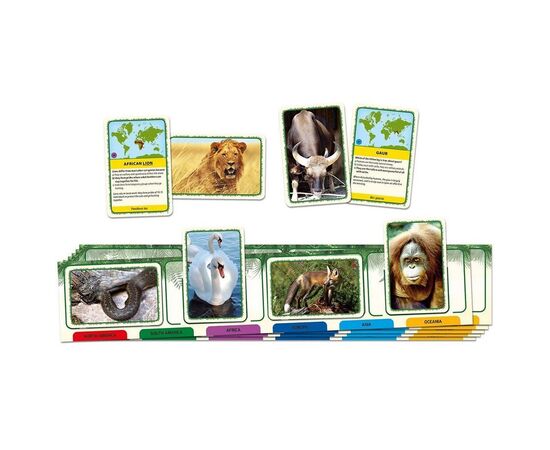 Настольная игра Tactic Животные мира (укр.) (60497), изображение 2 Настольная игра Tactic Животные мира (укр.) (60497), изображение 2