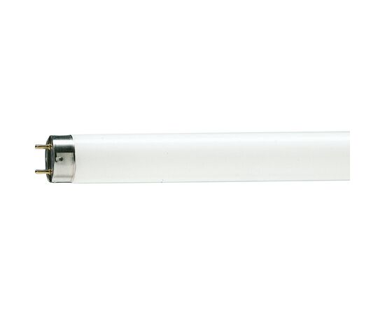 Лампочка Philips TL-D G13 600mm 18W/54-765 1SL/25 (928047305451)
