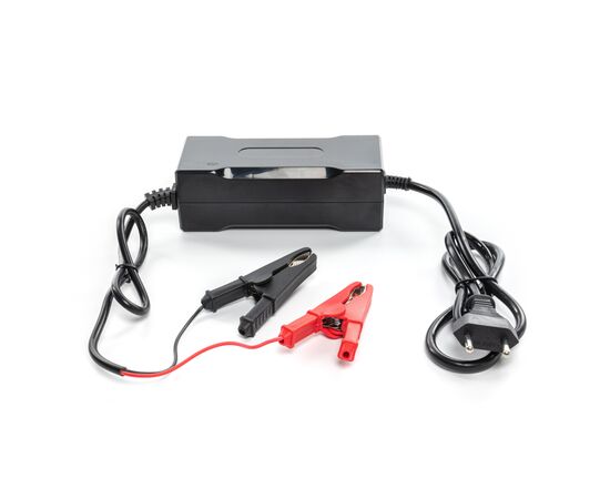 Сетевое зарядное устройство для АКБ YZPOWER 12.8V10AL (YZ130 (12.8V10AL))