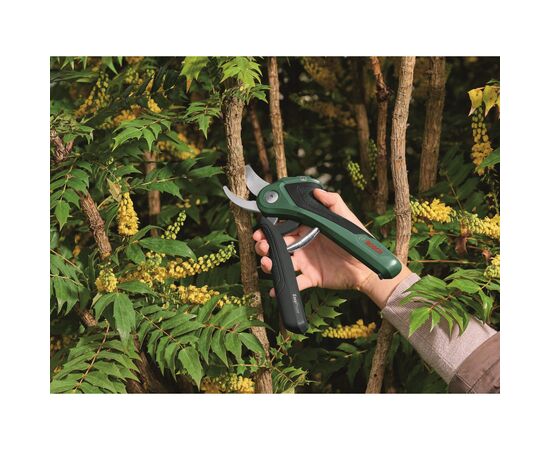 Секатор Bosch EasyPrune, 3.6В, до 25мм, 0.49кг (0.600.8B2.102), зображення 10 Секатор Bosch EasyPrune, 3.6В, до 25мм, 0.49кг (0.600.8B2.102), зображення 10