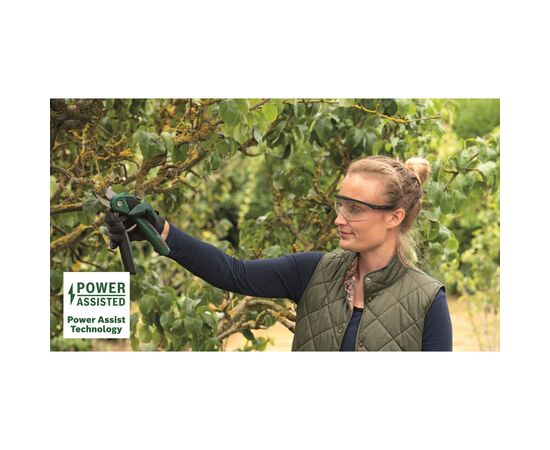 Секатор Bosch EasyPrune, 3.6В, до 25мм, 0.49кг (0.600.8B2.102), зображення 5 Секатор Bosch EasyPrune, 3.6В, до 25мм, 0.49кг (0.600.8B2.102), зображення 5