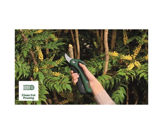 Секатор Bosch EasyPrune, 3.6В, до 25мм, 0.49кг (0.600.8B2.102), зображення 6 Секатор Bosch EasyPrune, 3.6В, до 25мм, 0.49кг (0.600.8B2.102), зображення 6