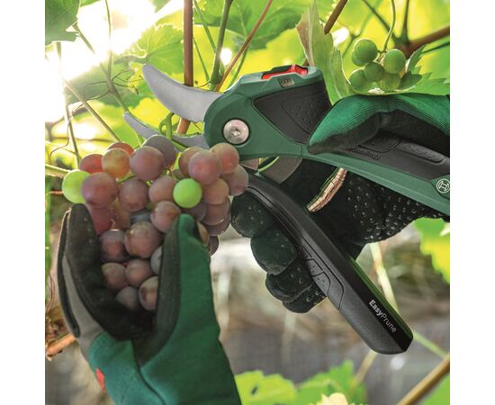 Секатор Bosch EasyPrune, 3.6В, до 25мм, 0.49кг (0.600.8B2.102), зображення 8 Секатор Bosch EasyPrune, 3.6В, до 25мм, 0.49кг (0.600.8B2.102), зображення 8