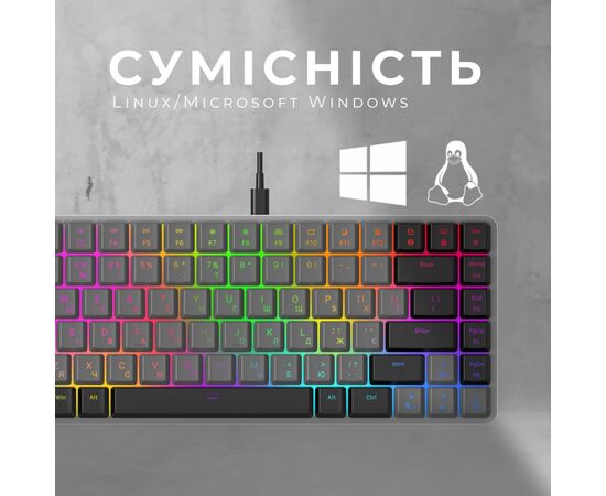 Клавіатура GamePro MK141R Red Swich Low Profile RGB USB Dark Gray (MK141R), зображення 11 Клавіатура GamePro MK141R Red Swich Low Profile RGB USB Dark Gray (MK141R), зображення 11