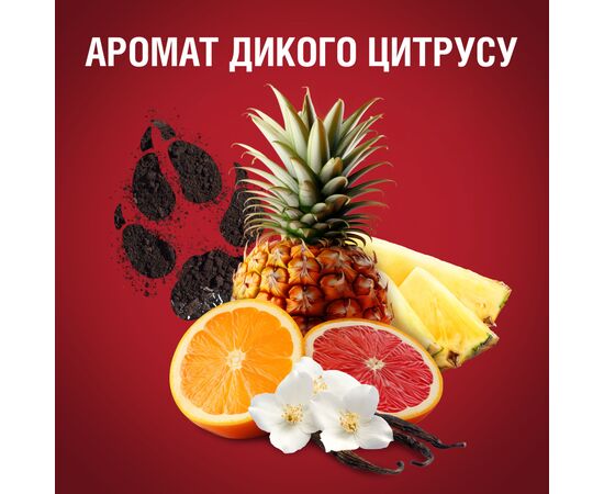 Дезодорант Old Spice Wolfthorn аэрозольный 150 мл (4015600306595), изображение 7 Дезодорант Old Spice Wolfthorn аэрозольный 150 мл (4015600306595), изображение 7