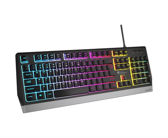 Клавіатура Genesis Rhod 300 LED Backlight USB Black (NKG-1823), зображення 2 Клавіатура Genesis Rhod 300 LED Backlight USB Black (NKG-1823), зображення 2
