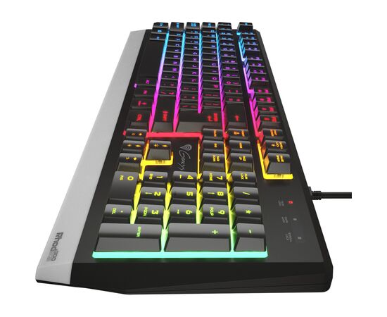 Клавіатура Genesis Rhod 300 LED Backlight USB Black (NKG-1823), зображення 4 Клавіатура Genesis Rhod 300 LED Backlight USB Black (NKG-1823), зображення 4