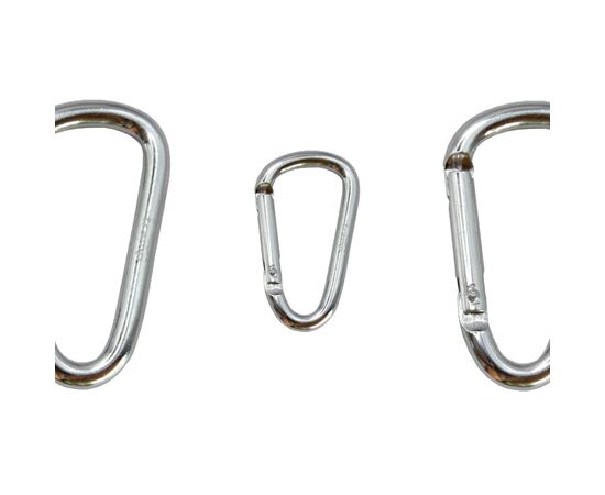 Карабин туристический Tramp Набір 10 шт без муфти 6 cм Silver (UTRA-300-silver), изображение 2