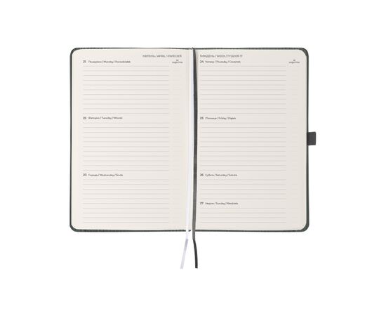 Еженедельник Axent датированный 2025 Partner Lines 125х195 мм, серый (8515-25-03-A), изображение 3 Еженедельник Axent датированный 2025 Partner Lines 125х195 мм, серый (8515-25-03-A), изображение 3