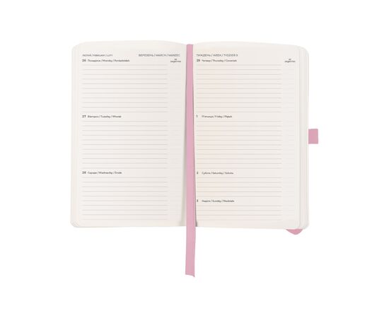 Еженедельник Axent датированный 2025 Partner Soft Skin 125х195 мм, пудровый (8509-25-24-A), изображение 2 Еженедельник Axent датированный 2025 Partner Soft Skin 125х195 мм, пудровый (8509-25-24-A), изображение 2