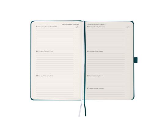 Еженедельник Axent датированный 2025 Partner Strong 125х195 мм, малахитовый (8505-25-31-A), изображение 9