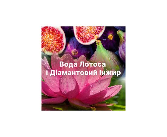 Кондиционер для белья Lenor Бриллиантовый инжир и вода лотоса 700 мл (8006540909430), изображение 7