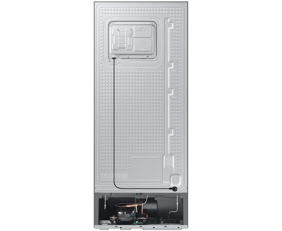 Холодильник Samsung RT38CG6000S9UA, изображение 4 Холодильник Samsung RT38CG6000S9UA, изображение 4