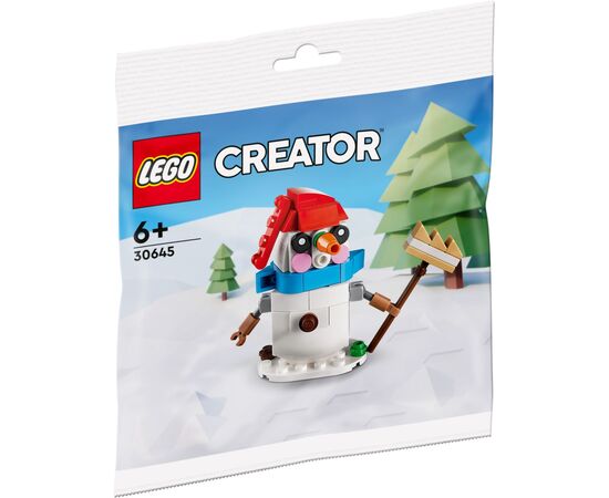Конструктор LEGO Creator Снеговик (30645)