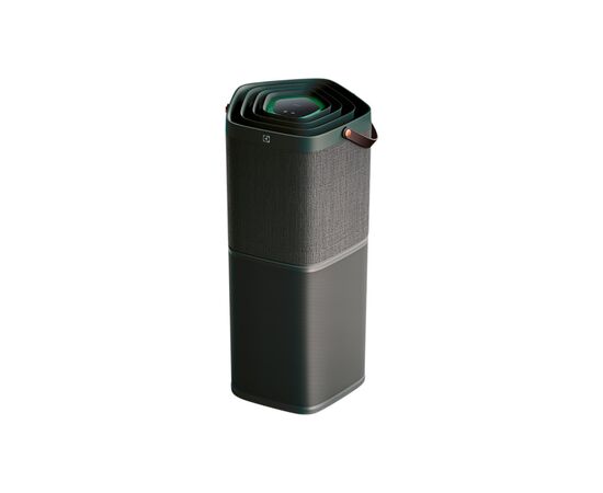 Очисник повітря Electrolux PA91-604DG