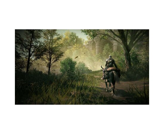 Игра Sony Elden Ring Shadow of the Erdtree Edition, BD диск (3391892030952), изображение 6 Игра Sony Elden Ring Shadow of the Erdtree Edition, BD диск (3391892030952), изображение 6