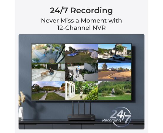 Регистратор для видеонаблюдения Reolink NVS12W, изображение 2 Регистратор для видеонаблюдения Reolink NVS12W, изображение 2