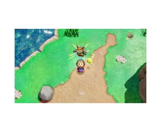 Игра Nintendo Switch The Legend of Zelda: Echoes of Wisdom, картридж (045496512408), изображение 12 Игра Nintendo Switch The Legend of Zelda: Echoes of Wisdom, картридж (045496512408), изображение 12