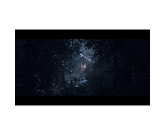 Игра Sony UNTIL DAWN, BD диск (1000044321), изображение 3 Игра Sony UNTIL DAWN, BD диск (1000044321), изображение 3