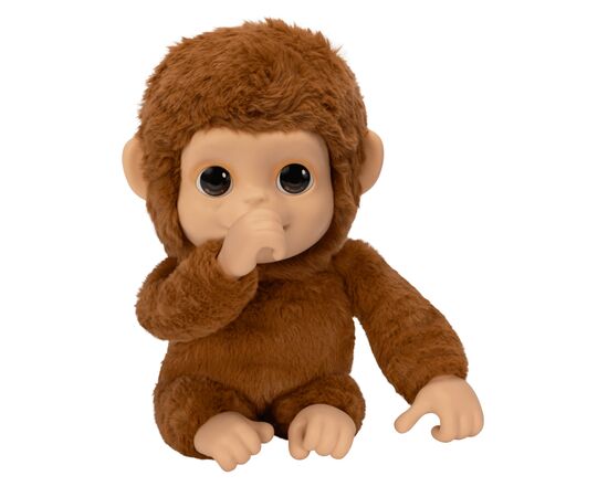 Интерактивная игрушка Moose Little Live Pets Маленькая обезьянка (26558), изображение 3 Интерактивная игрушка Moose Little Live Pets Маленькая обезьянка (26558), изображение 3