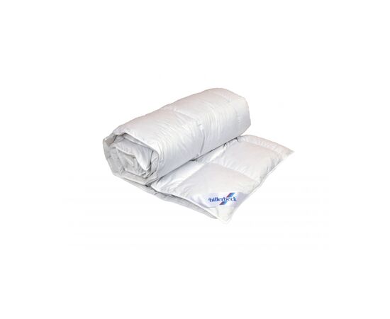 Одеяло Billerbeck пуховое Аделия К0 172х205 (0590-20/02), изображение 2 Одеяло Billerbeck пуховое Аделия К0 172х205 (0590-20/02), изображение 2