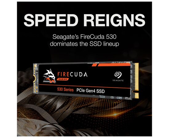 Накопитель SSD M.2 2280 2TB FireCuda 530 Seagate (ZP2000GM3A013), изображение 2 Накопитель SSD M.2 2280 2TB FireCuda 530 Seagate (ZP2000GM3A013), изображение 2