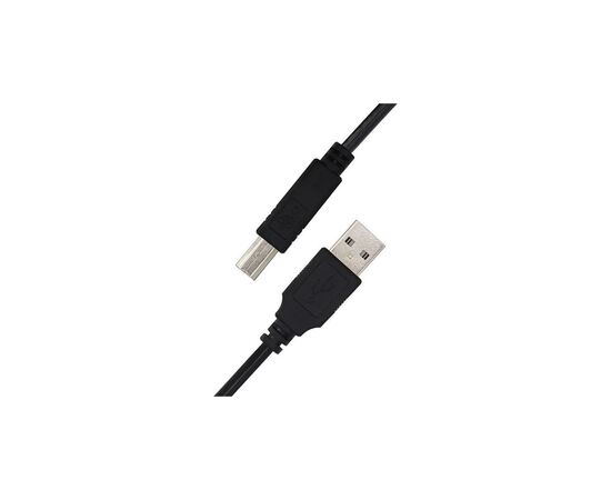 Кабель для принтера USB 2.0 AM/BM 2.0m Kingda (KDUSB2002-2M), изображение 2 Кабель для принтера USB 2.0 AM/BM 2.0m Kingda (KDUSB2002-2M), изображение 2