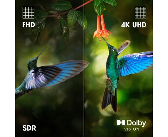 Телевизор THOMSON 43QG7C14, изображение 8 Телевизор THOMSON 43QG7C14, изображение 8