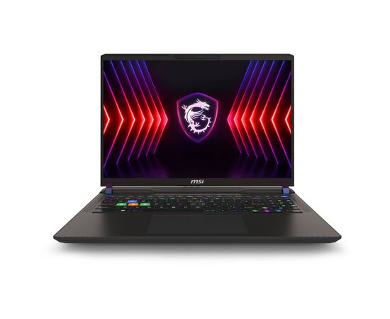 Ноутбук MSI Vector 16 HX (9S7-15M142-813)