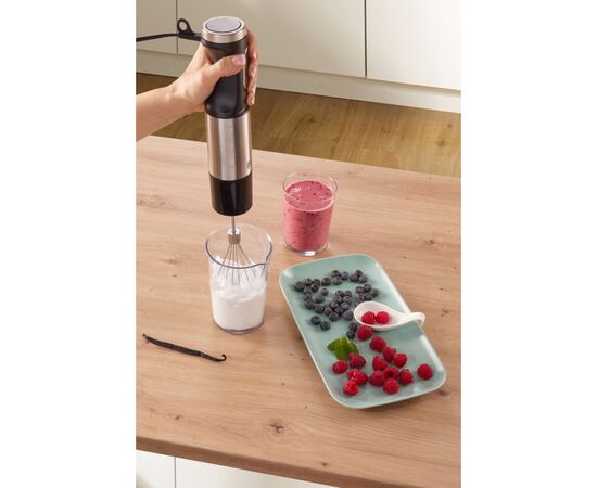 Блендер Gorenje HBX1000EB, изображение 8 Блендер Gorenje HBX1000EB, изображение 8