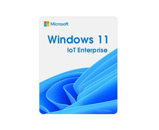 Операційна система Microsoft Windows 11 IoT Enterprise LTSC 2024 Perpetual, Commercial, OneTime (DG7GMGF0PP49_0001)