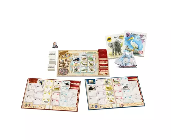 Настольная игра Feelindigo По следам Дарвина (In the Footsteps of Darwin) (укр.) (FI24062), изображение 2 Настольная игра Feelindigo По следам Дарвина (In the Footsteps of Darwin) (укр.) (FI24062), изображение 2