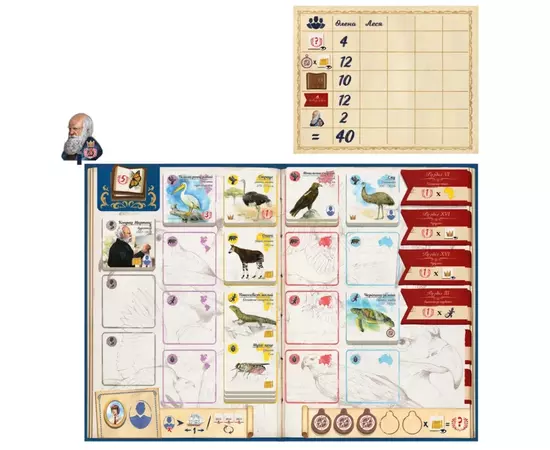 Настольная игра Feelindigo По следам Дарвина (In the Footsteps of Darwin) (укр.) (FI24062), изображение 3 Настольная игра Feelindigo По следам Дарвина (In the Footsteps of Darwin) (укр.) (FI24062), изображение 3